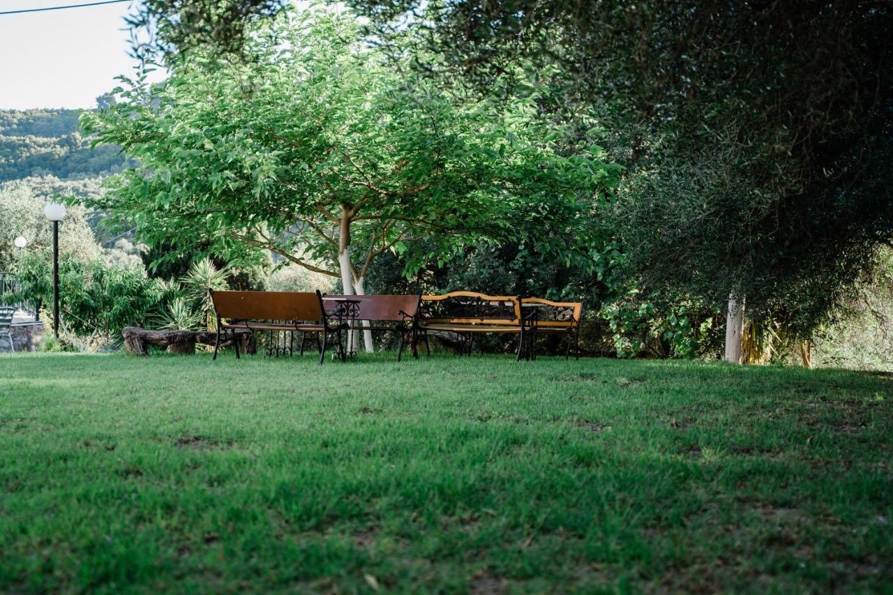 Villa Kallithea パルガ エクステリア 写真