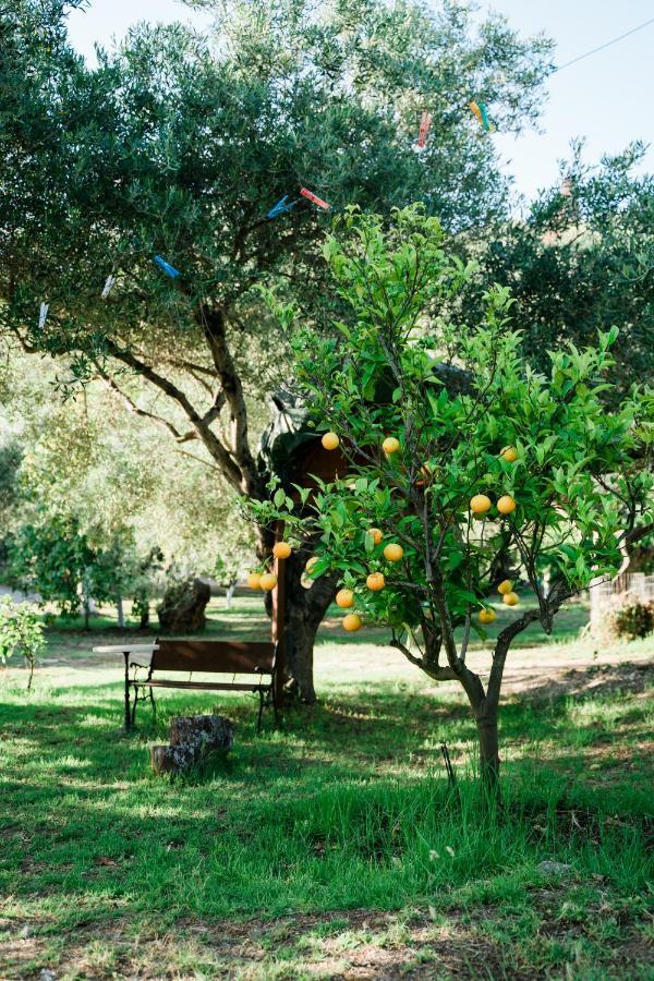 Villa Kallithea パルガ エクステリア 写真