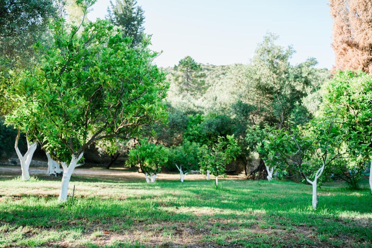 Villa Kallithea パルガ エクステリア 写真