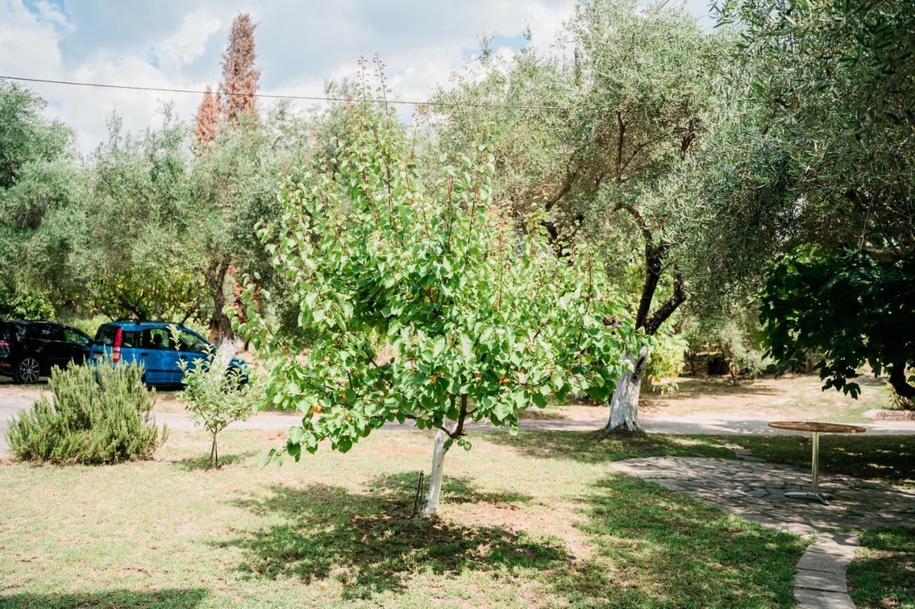 Villa Kallithea パルガ エクステリア 写真